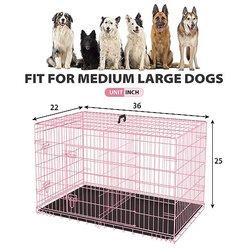 BestPet 42 Inch Folding Metal Wire Dog Crate with Double-Door and Removable Tray O49217