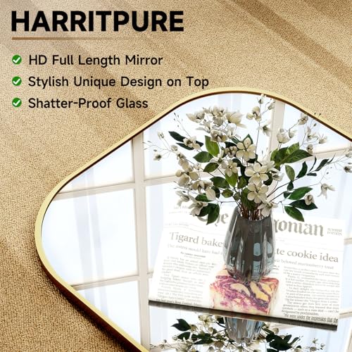 HARRITPURE 57"x20" Full Length Mirror with Aluminum Frame, Gold A38098