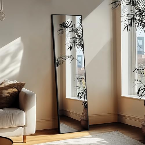 Delma Wall Full Length Mirror with Aluminium Frame, 56x15, Black Z730