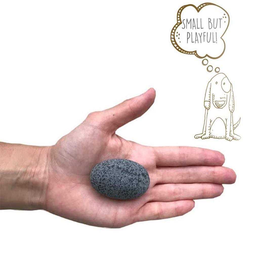 Pet Rock The Original by Gary Dahl Q366