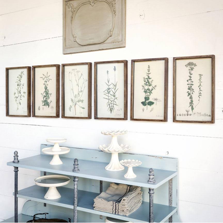 Collected Botanical Prints, Set of 6 N3955