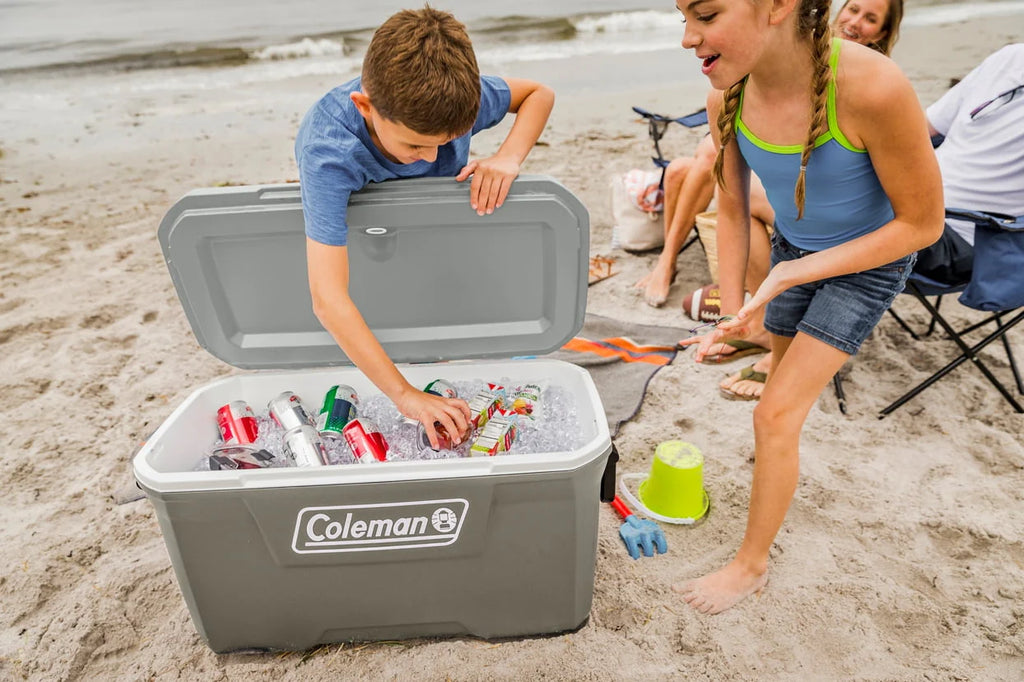 Coleman 316 Series 70QT Hard Chest Cooler, Silver Ash F678722