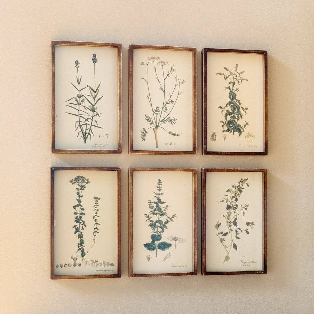 Collected Botanical Prints, Set of 6