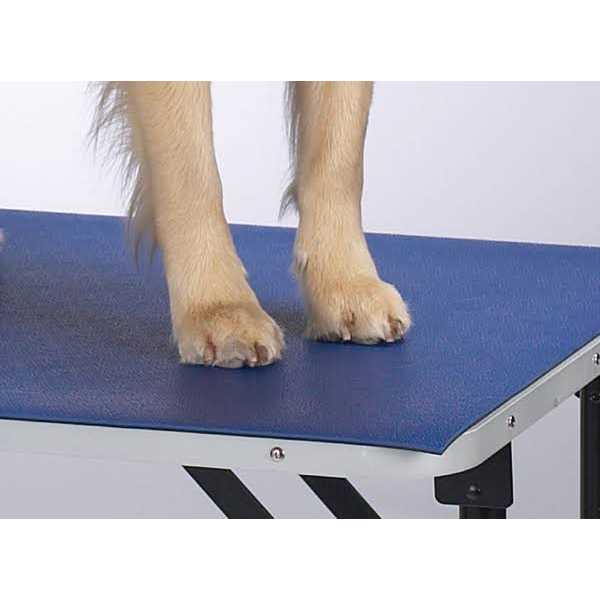 Table Mat V32084