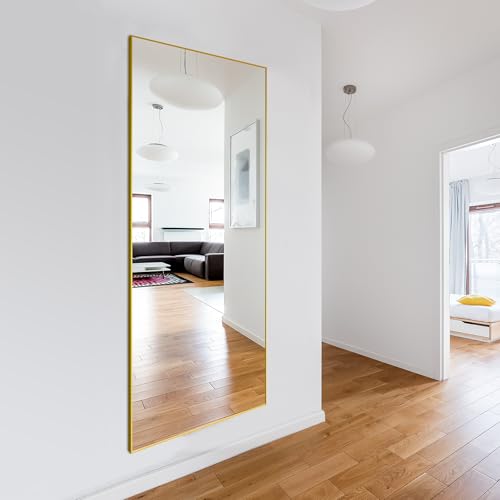 Delma Wall Full Length Mirror with Aluminium Frame, 56x15, Black Z730