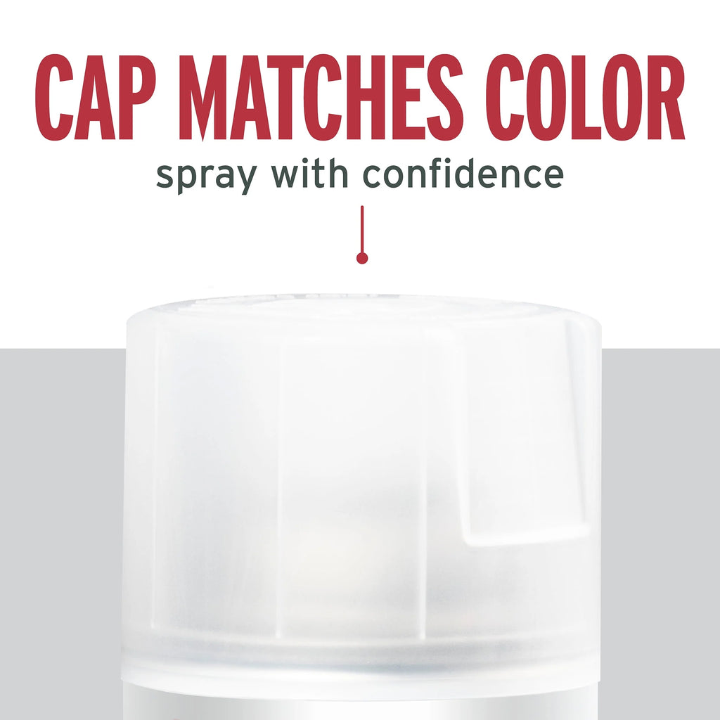 Rust-Oleum Stops Rust Satin Protective Enamel Spray Paint 285092, 12 oz Y531