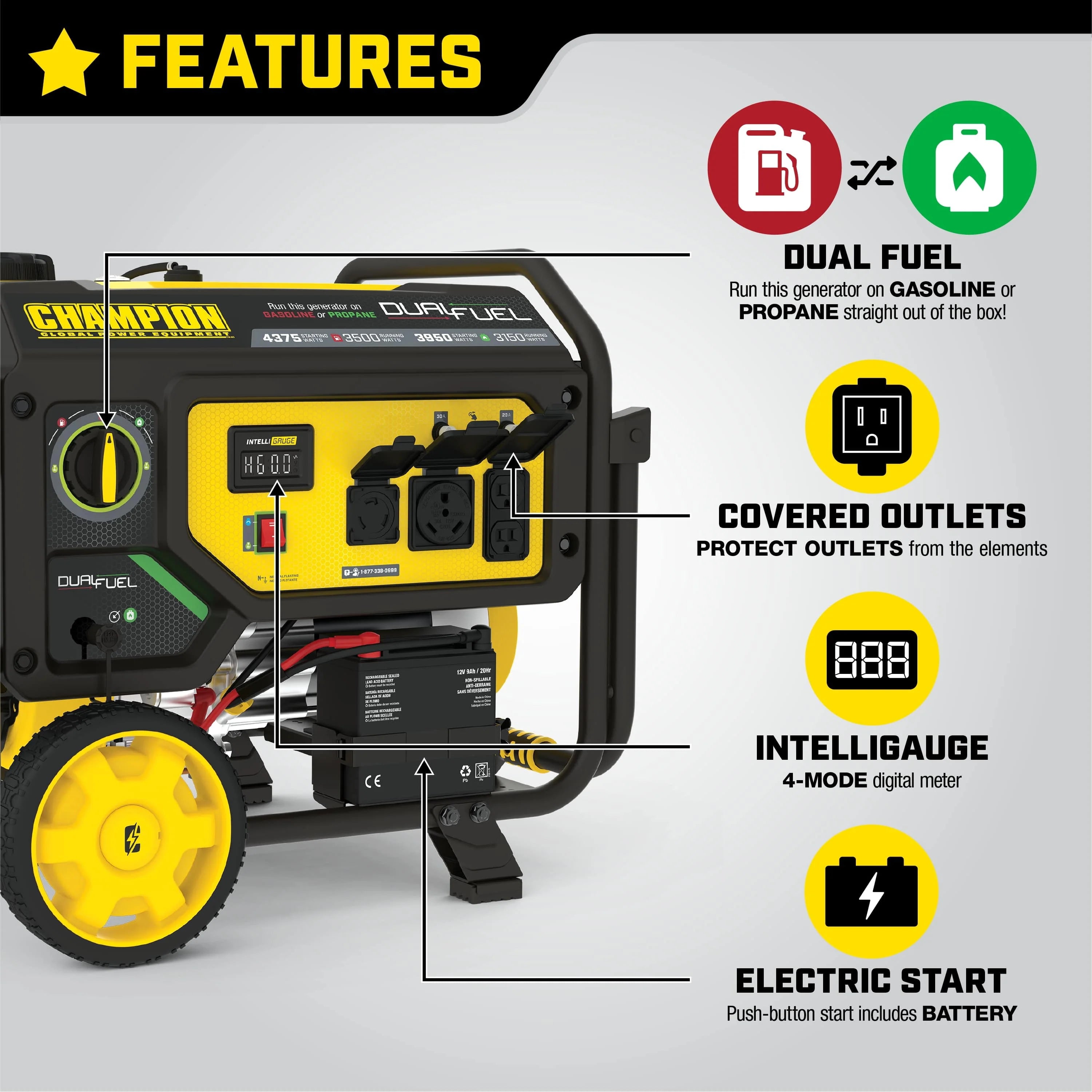 Champion Power Equipment 3500-Watt Dual Fuel Portable Generator with Electric Start B8317