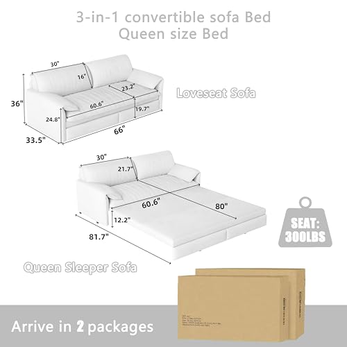Queen Size Futon Sofa Bed with 2 Pillows, Blue V9731