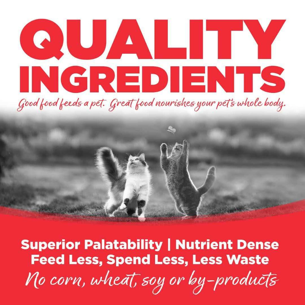 NutriSource Grain Free Ocean Select Cat Food E889902