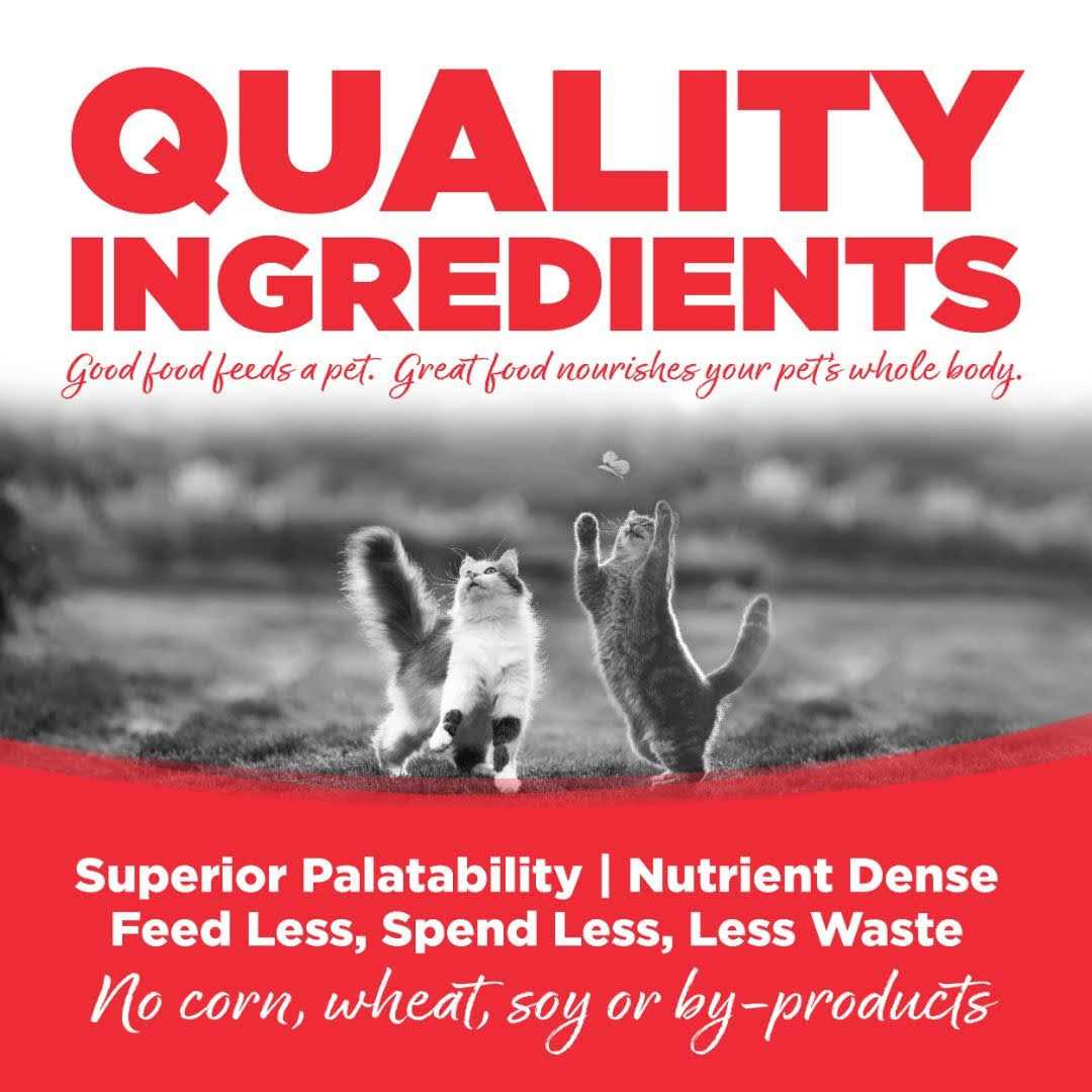 NutriSource Grain Free Ocean Select Cat Food E889902