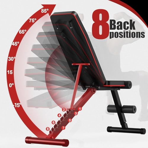 Adjustable Weight Bench for Home Gym, 800 LB Incline Decline Strength Training R306107
