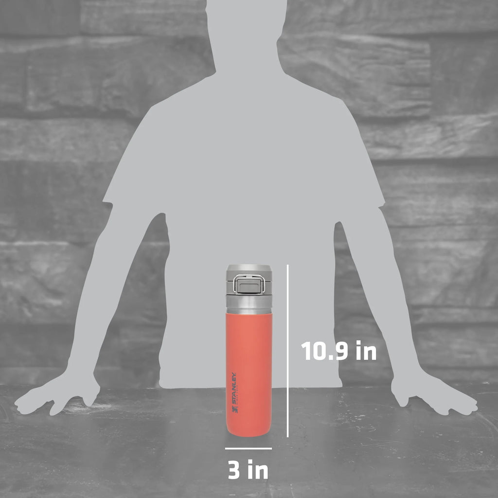 Stanley Quick Flip Insulated Stainless Steel Water Bottle 24 oz M3890