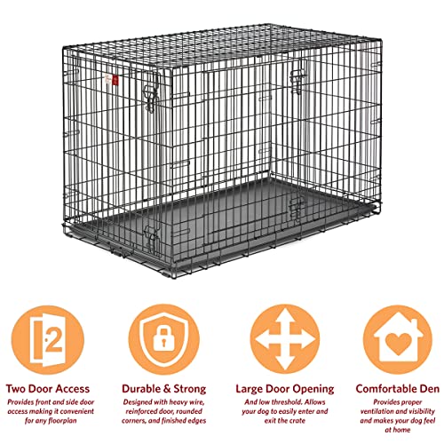 MidWest Homes for Pets Double Door 36-Inch Folding Dog Crate Y75670