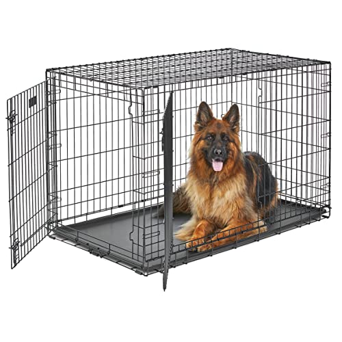MidWest Homes for Pets Double Door 36-Inch Folding Dog Crate Y75670