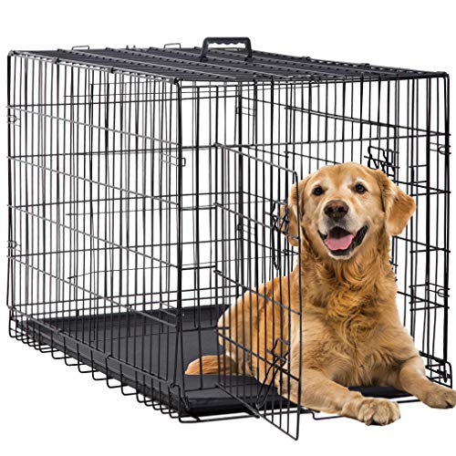 BestPet 42 Inch Folding Metal Wire Dog Crate with Double-Door and Removable Tray O49217