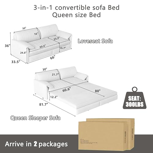 Queen Size Futon Sofa Bed with 2 Pillows, Blue V9731