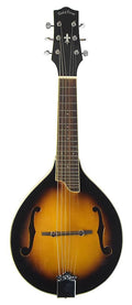 Gold Tone GM-6 Octave Mandolin (Maple)