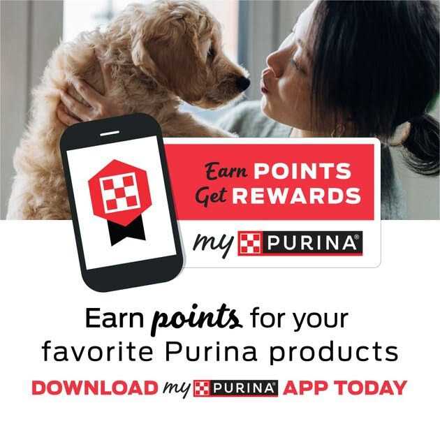 Purina Pro Plan Veterinary Diets NF Kidney Function Feline Formula Wet Cat Food X21630
