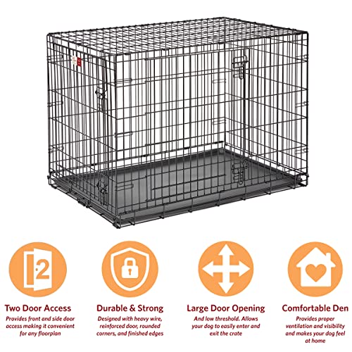 MidWest Homes for Pets Double Door 36-Inch Folding Dog Crate Y75670