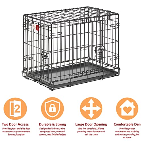 MidWest Homes for Pets Double Door 36-Inch Folding Dog Crate Y75670