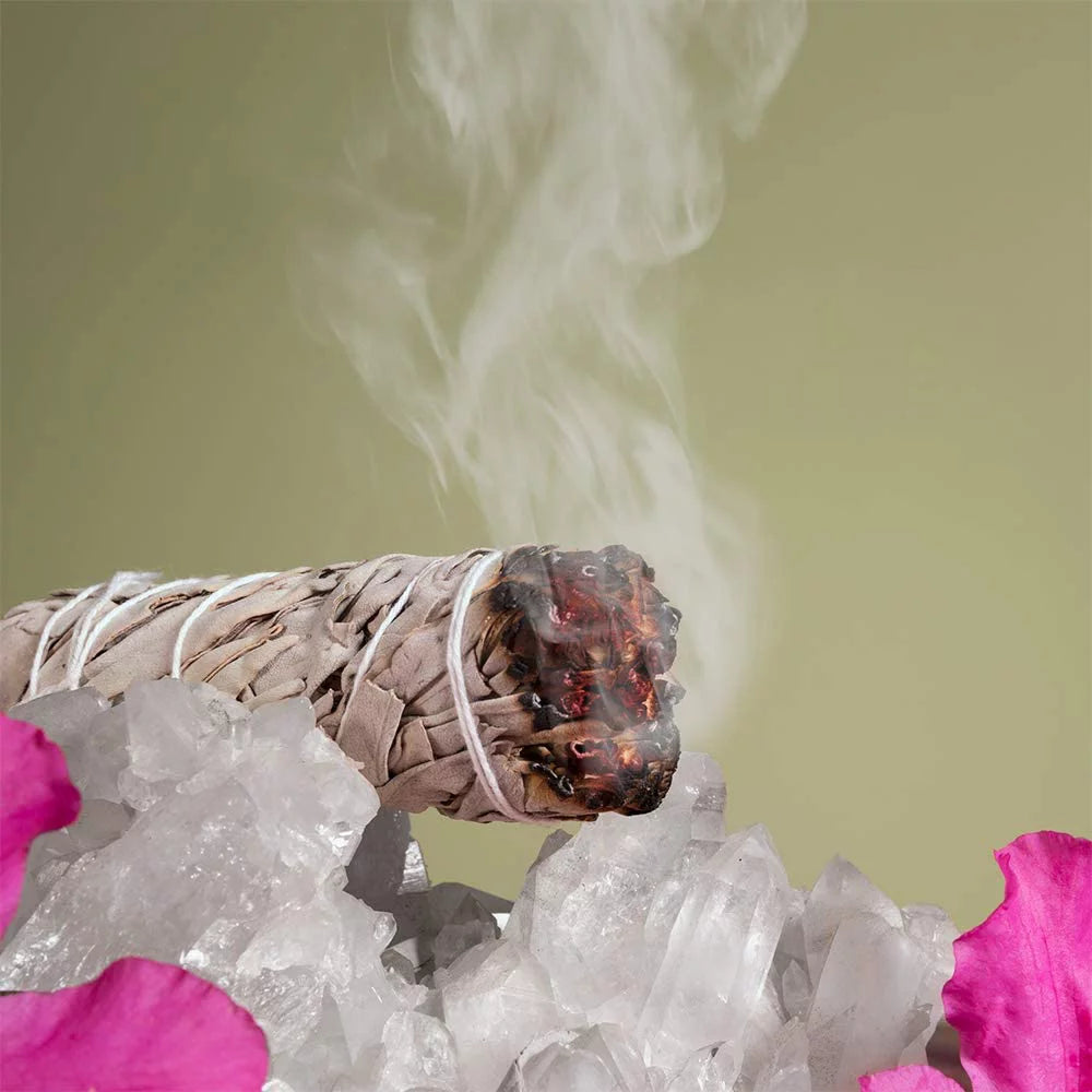 White Sage Smudge Sticks 6 Pack for Cleansing Meditation L1542