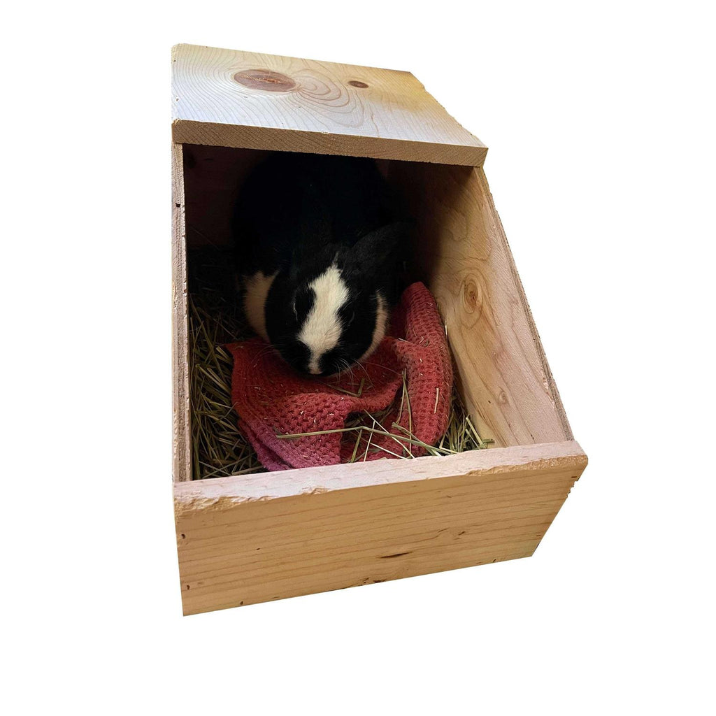 Harvest Lane Honey Rabbit Nesting Box Z80037