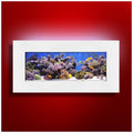 Aussie Aquariums 2.0 Wall Mounted Aquarium - Skyline (Matte White)