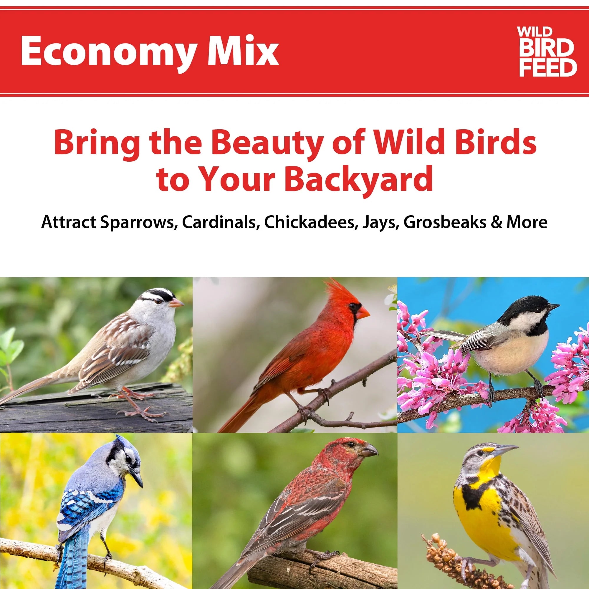 Economy Mix Wild Bird Feed, Value Seed Blend, 20 lb. Bag Z2024