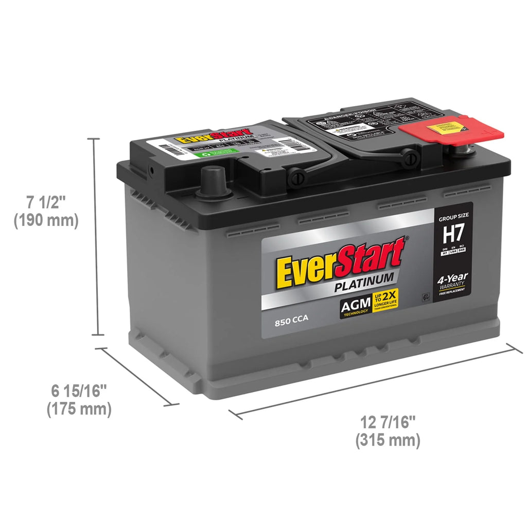EverStart Platinum AGM Automotive Battery Group Size H7 12V 800 CCA A393