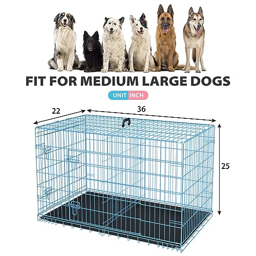 BestPet 42 Inch Folding Metal Wire Dog Crate with Double-Door and Removable Tray O49217