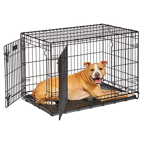 MidWest Homes for Pets Double Door 36-Inch Folding Dog Crate Y75670