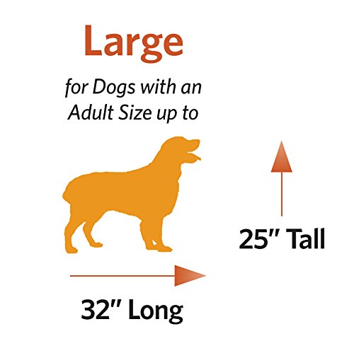 MidWest Homes for Pets Double Door 36-Inch Folding Dog Crate Y75670