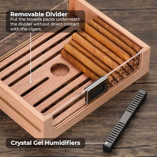 Cigar Humidor Cabinet for 250 Cigars with LED Light, Spanish Cedar Lining W1599