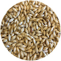 Mecca Grade Lamonta (American Pale) Malt - Bulk, 50 lb Sack