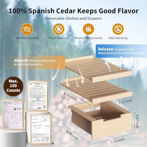 NEEDONE 23L Pro 2 SE Electric Cigar Humidor with Spanish Cedar Shelves E7583