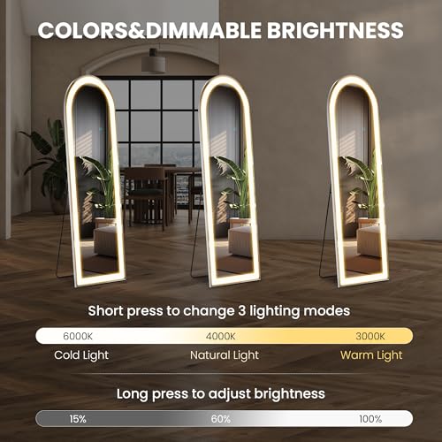 Arched Full Length Mirror with LED Lights, 60"x16" Floor Mirror with Stand T719302