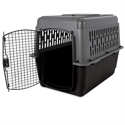 Petmate ASPEN PET Pet Porter Dog Kennel I262246