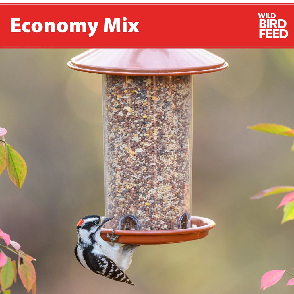 Economy Mix Wild Bird Feed, Value Seed Blend, 20 lb. Bag Z2024