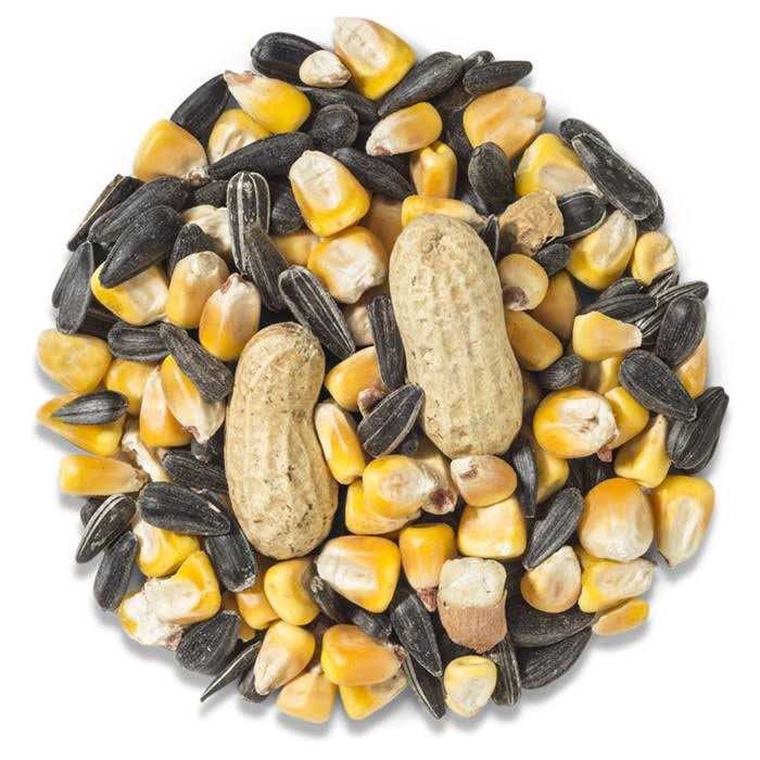 Wild Delight Crunch N’ Nut Squirrel Food F5192