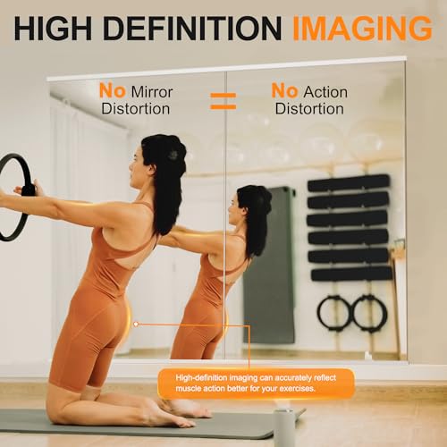Delma Wall Full Length Mirror with Aluminium Frame, 56x15, Black Z730
