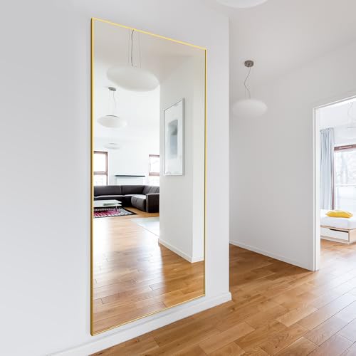 Delma Wall Full Length Mirror with Aluminium Frame, 56x15, Black Z730