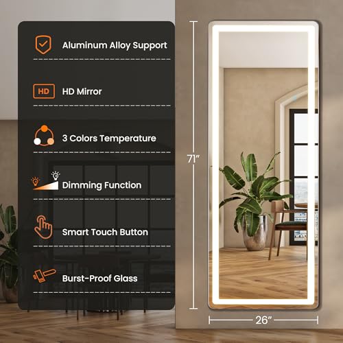 Arched Full Length Mirror with LED Lights, 60"x16" Floor Mirror with Stand T719302