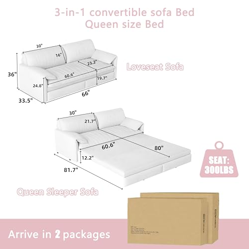 Queen Size Futon Sofa Bed with 2 Pillows, Blue V9731