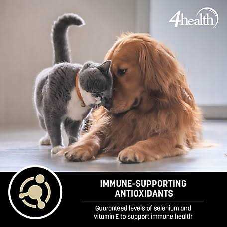 4health Wholesome Grains Small Bites Adult Chicken Dry Dog Food X85002