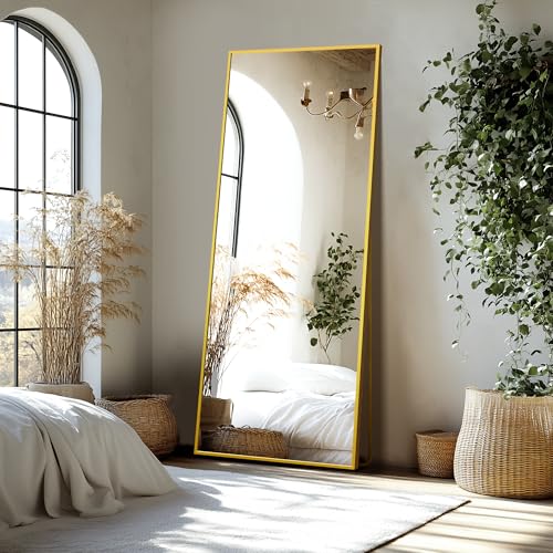 Delma Wall Full Length Mirror with Aluminium Frame, 56x15, Black Z730