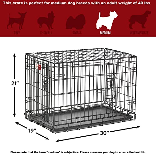 MidWest Homes for Pets Double Door 36-Inch Folding Dog Crate Y75670