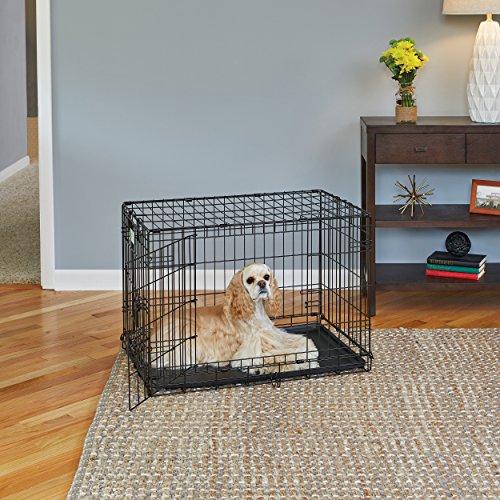 MidWest Homes for Pets Double Door 36-Inch Folding Dog Crate Y75670