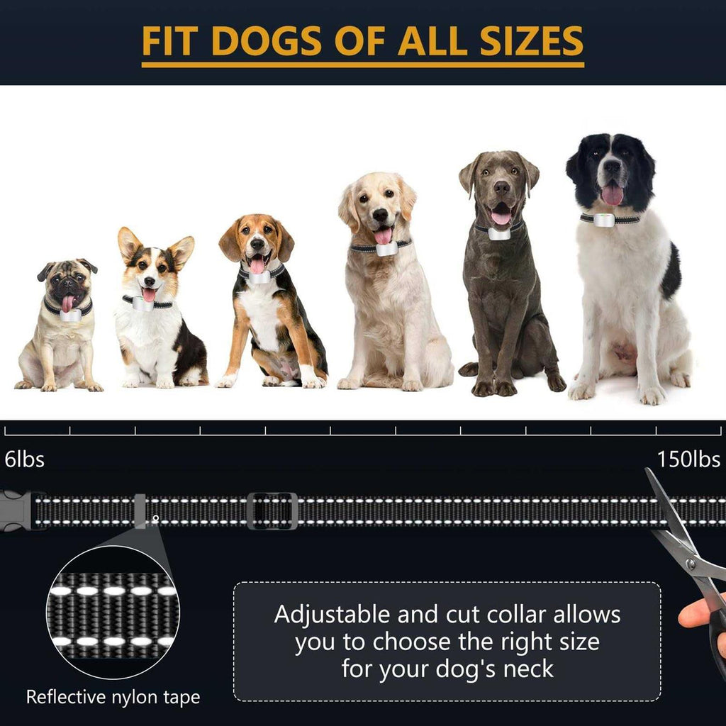 Rechargeable Dog Bark Collar 2 Pack for Large Medium Small Dogs J7918