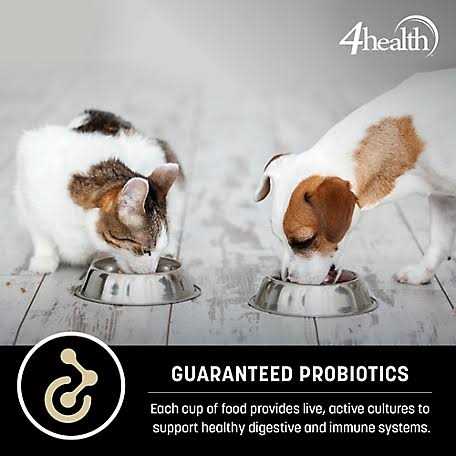 4health Wholesome Grains Small Bites Adult Chicken Dry Dog Food X85002