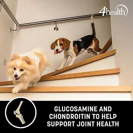4health Wholesome Grains Small Bites Adult Chicken Dry Dog Food X85002